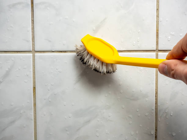 Best Bathroom Mold Remediation in Vienna, VA