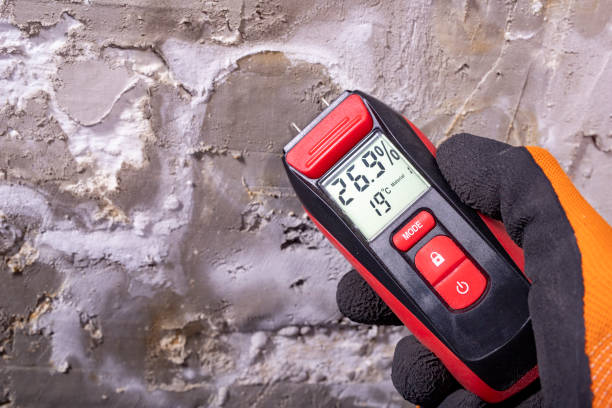 Best Crawl Space Mold Remediation in Vienna, VA
